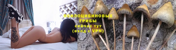 меф Алзамай