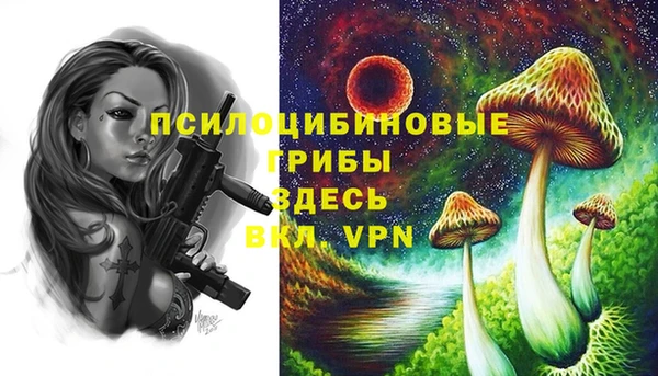 ALPHA-PVP Алексин