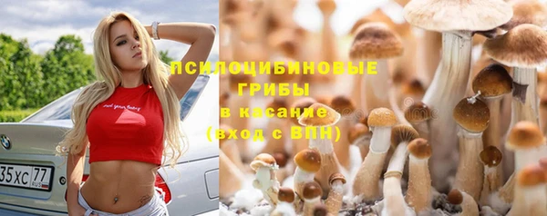 бошки Алексеевка