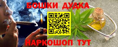 индика Гусиноозёрск