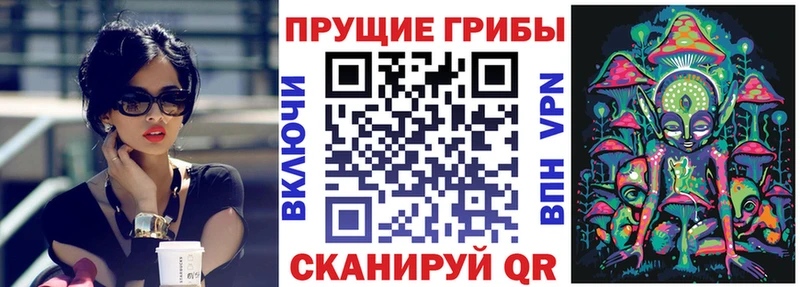 ОМГ ОМГ вход  Моздок  Галлюциногенные грибы Magic Shrooms 