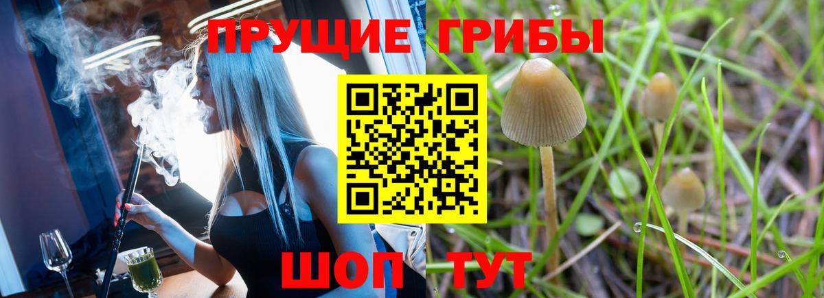 Галлюциногенные грибы мухоморы  Вход с VPN  Моздок 