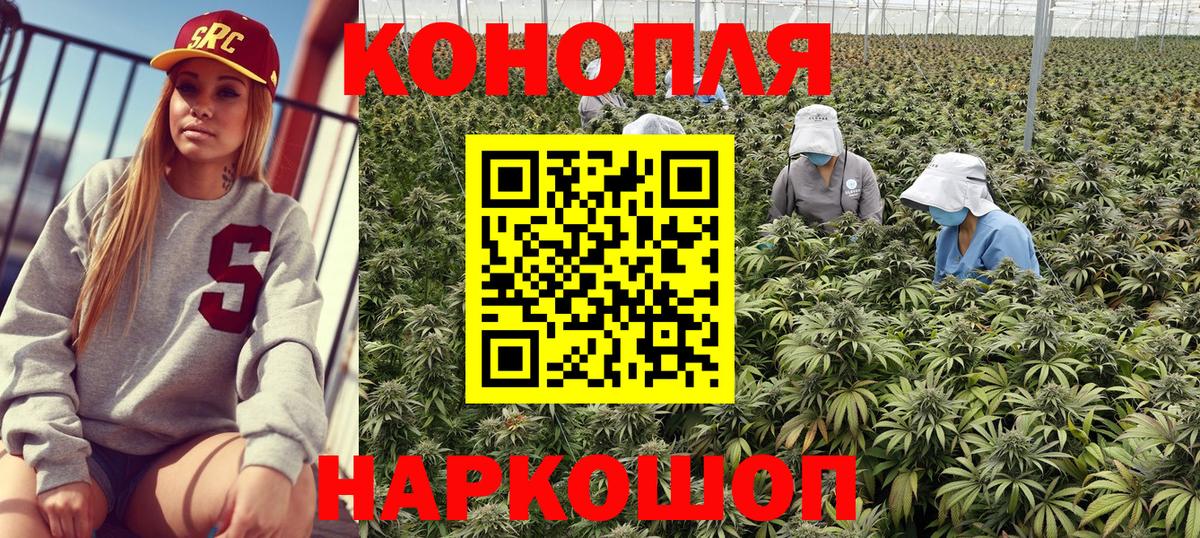 Каннабис Bruce Banner Моздок